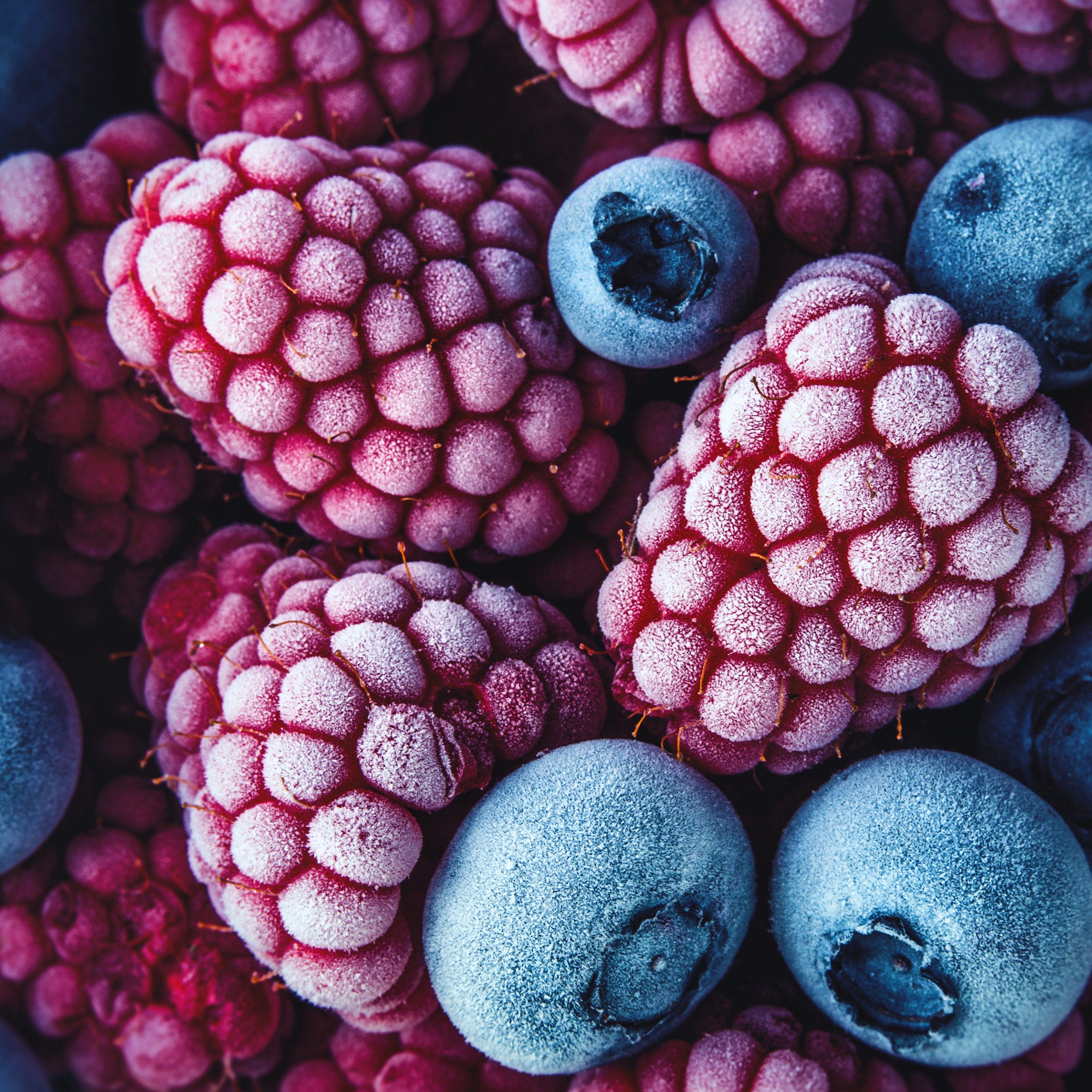 Frozen LOCAL Blackberries Emily's Produce Orders